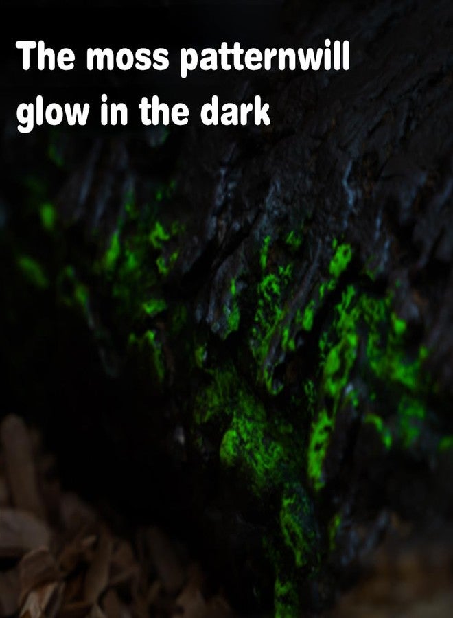 APlayfulBee 2 in 1 Reptile Hide Cave and Reptile Water/Food Feeding Bowl, Green-Glow in Dark, Turtle Basking Platform Habitat Hiding Cave Climbing Tank Aquarium Ornament for Lizards, Frogs, Snakes,Chameleon (M) - Image 2